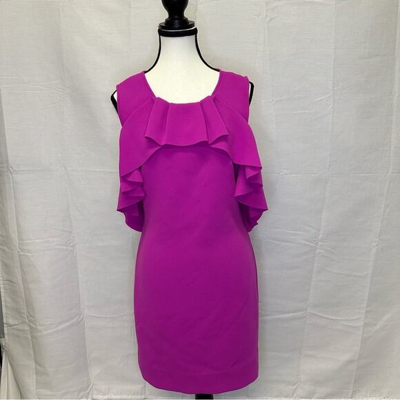 Diane von Furstenberg Pink Ruffle Dress - Size 8 - Picture 3 of 15